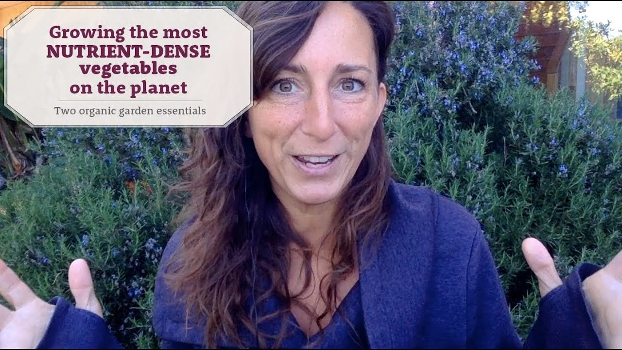 Growing the most nutrient-rich vegetables on the planet