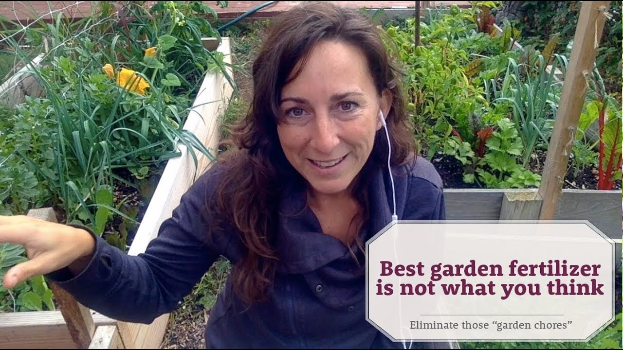 Best garden fertilizer is not what you expect