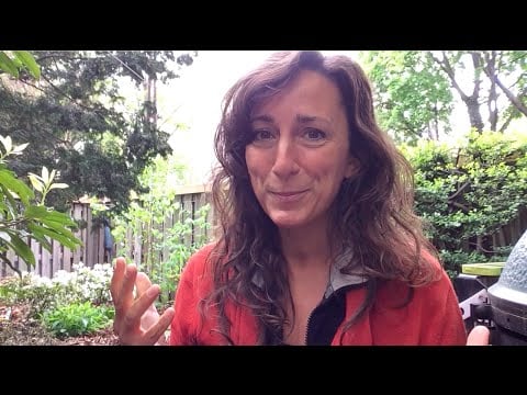 One Crop Rotation Rule to Prevent Diseases in Your Garden