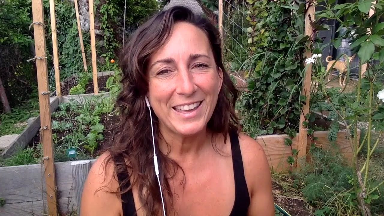 2 Unusual Recipes for End of Season Tomato Plant Harvests Only for the Brave
