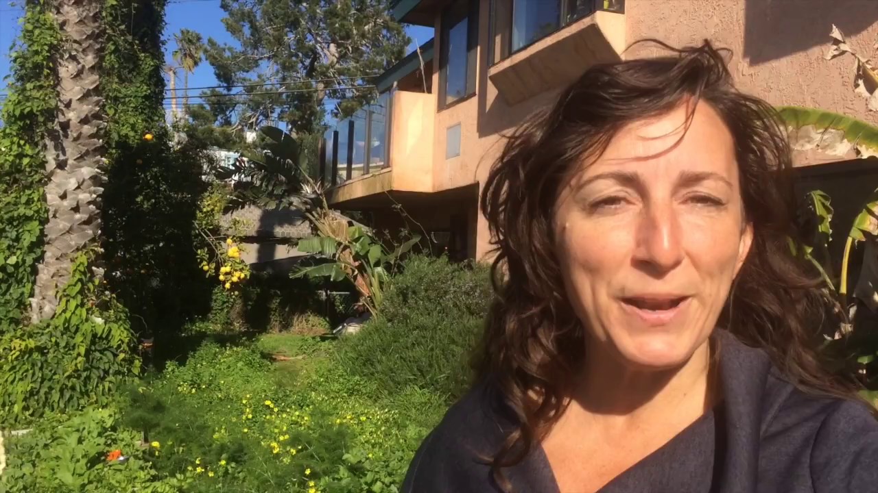 My Morning Garden Harvest Ritual