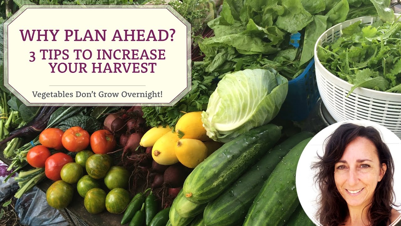Why Plan Ahead - 3 Tips to Increase Your Harvest