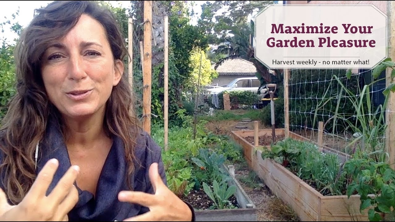 Maximize Your Garden Pleasure - Harvest Every Last Pepper