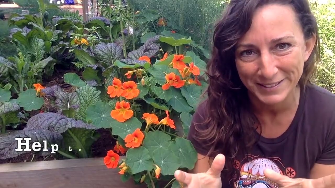 Self Reliance is a myth  You don't have to do everything for your vegetable garden to thrive