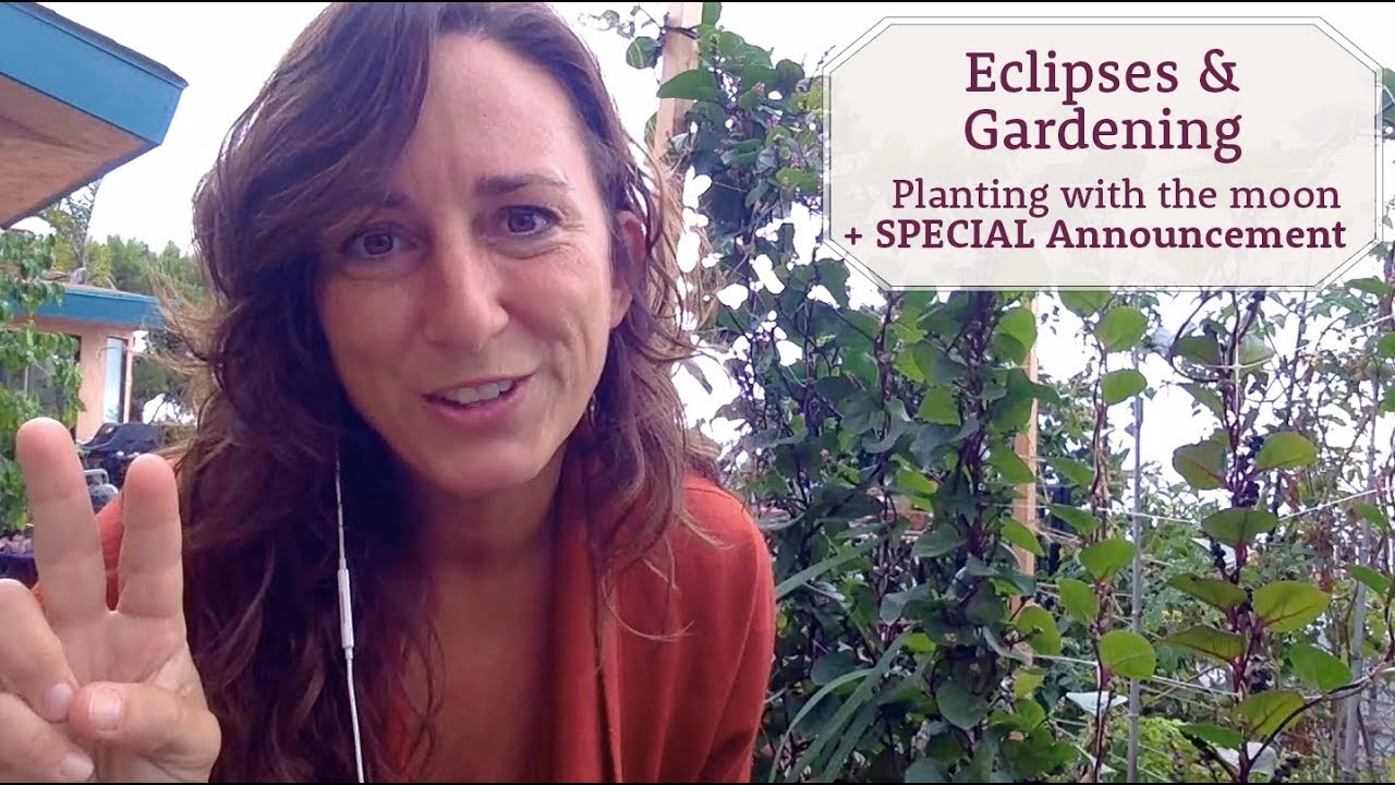 Eclipses & Gardening - Intro to planting with the moon