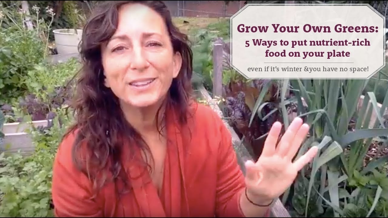 Grow Your Own Greens: 5 Ways to put nutrient-rich food on your plate... FAST!