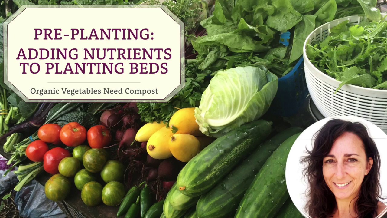 Preparing Vegetable Garden Bed with Compost & Amendments