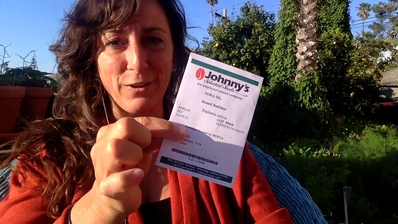 Successfully growing root vegetables in the garden