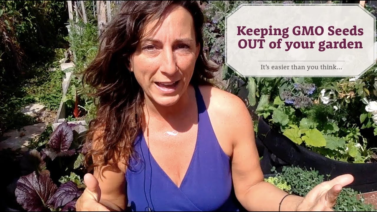 How to keep GMO seeds out of your vegetable garden