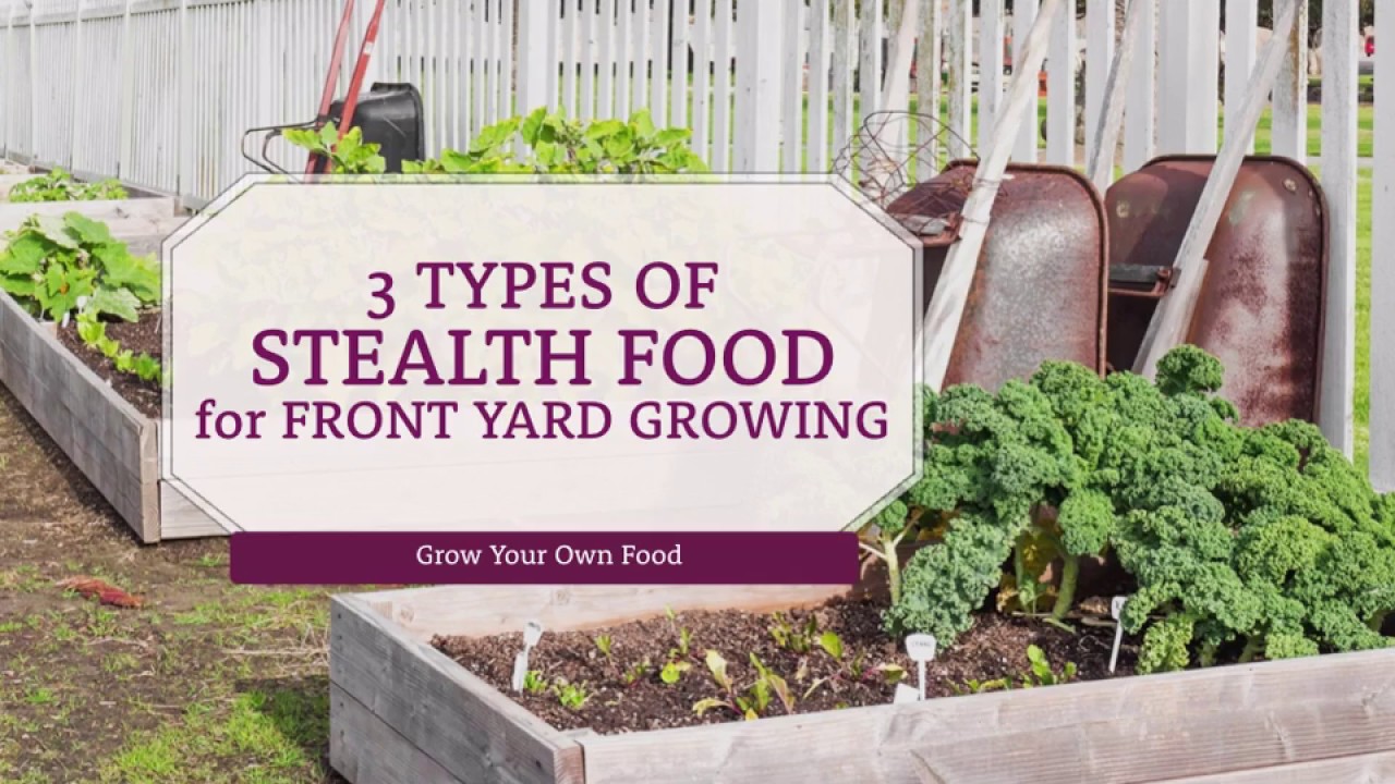 Unusual Edibles: 3 Types of Stealth Food for Front Yard Growing