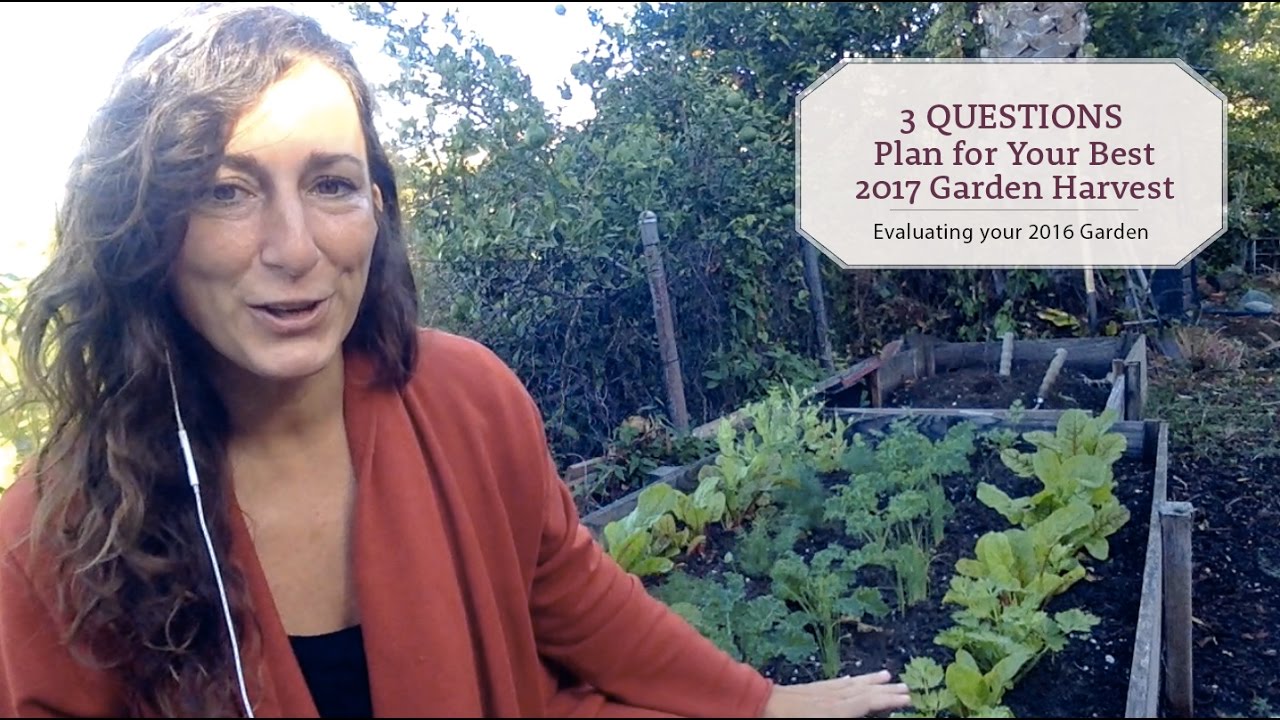 3 Questions for Your Best Garden Harvest in 2017