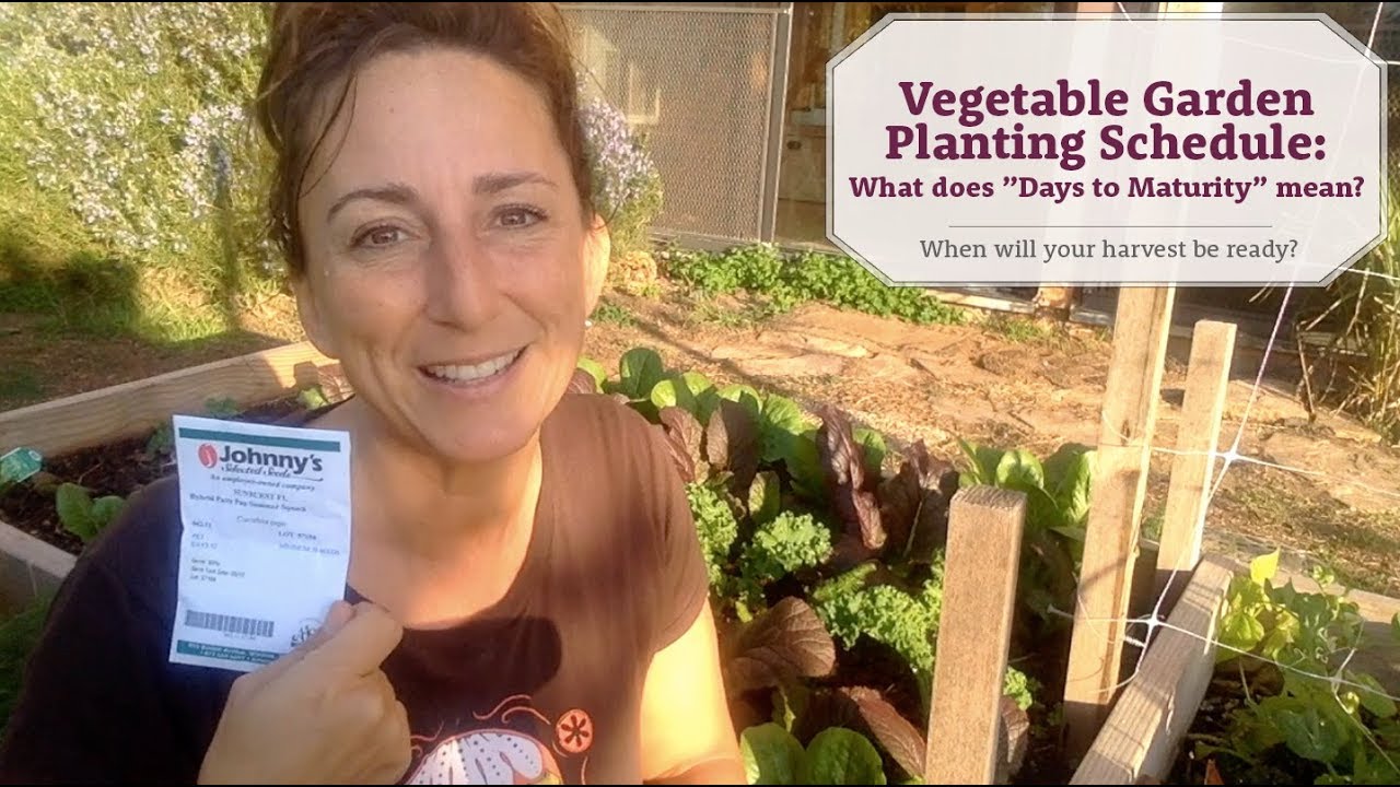 Vegetable Garden Planting Schedule: What does "days to maturity" mean?