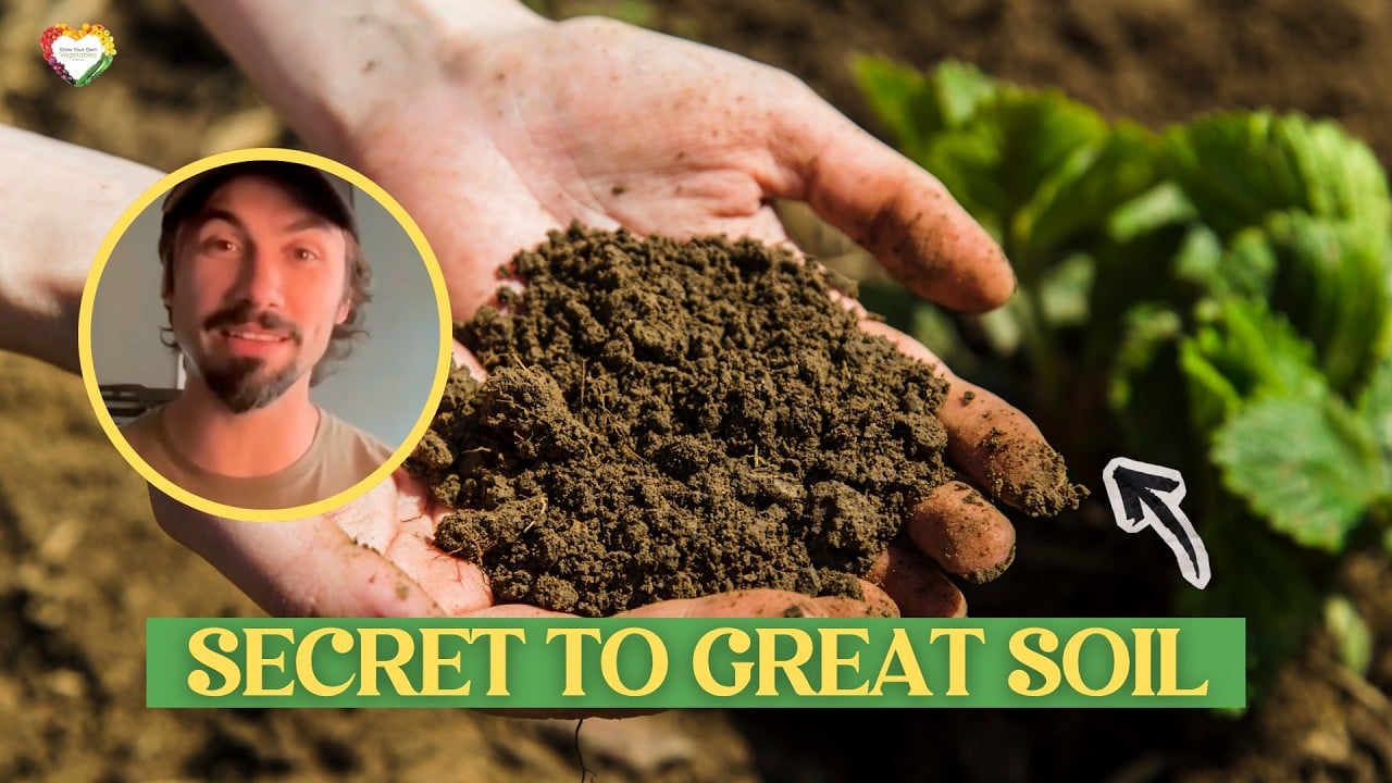 The Secret to Healthy Soil (and Better Harvests) — with Matt Powers