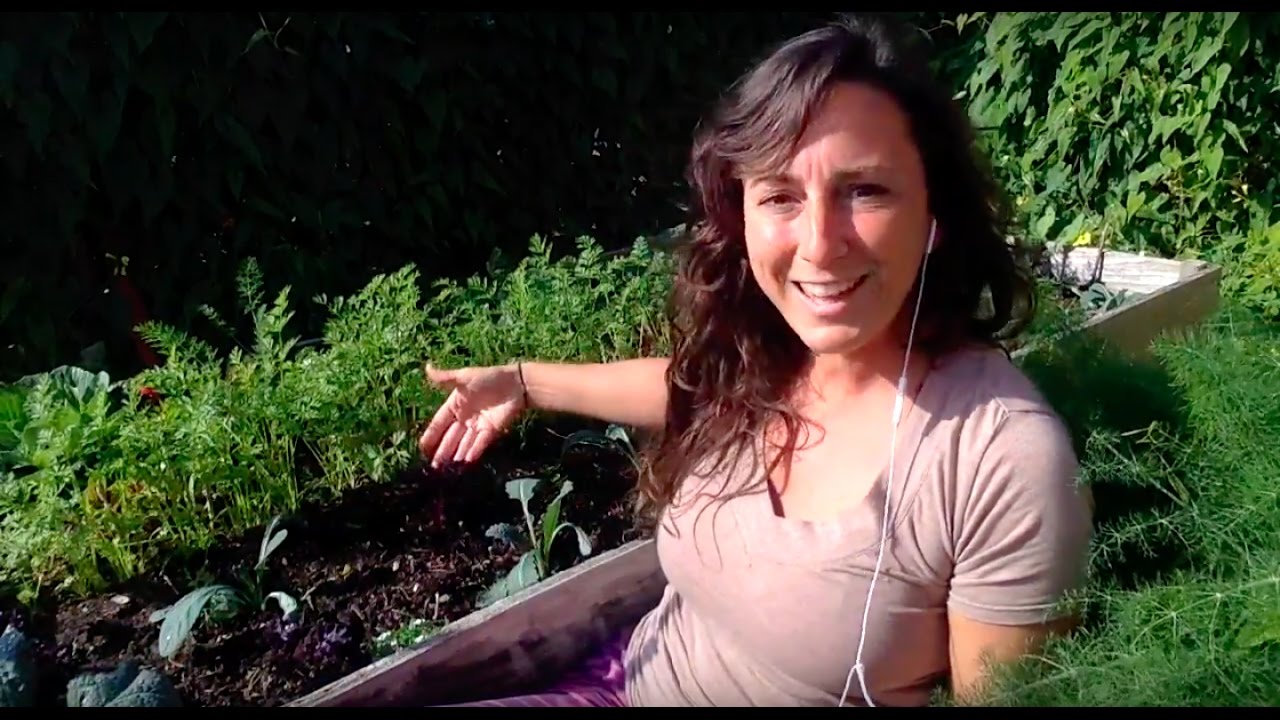 How much garden space do you need to grow greens for your family?