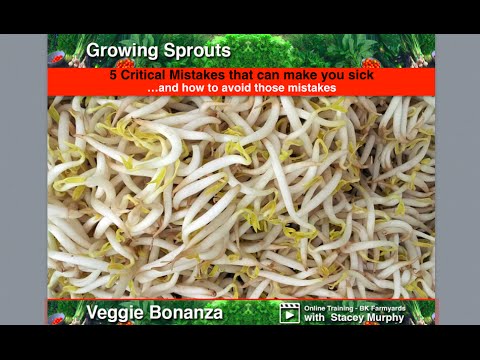 Sprouts