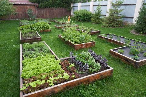 crop-plan garden-planning-apps-sabotage-your-abundance