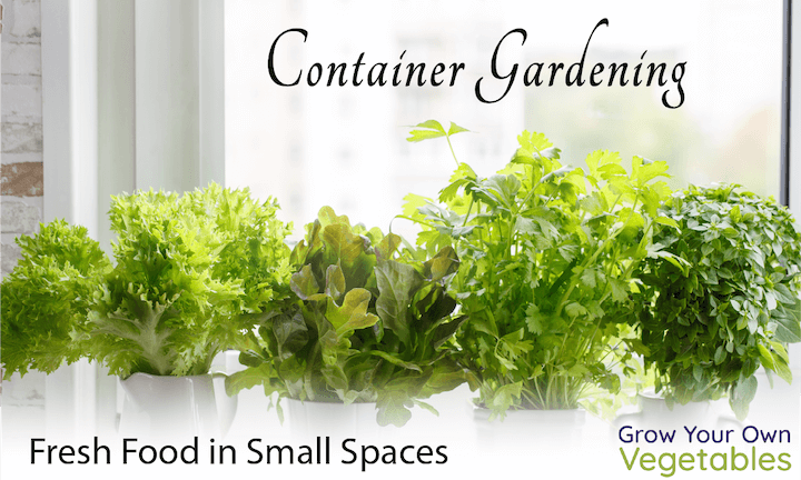 Container Gardening Micro Course