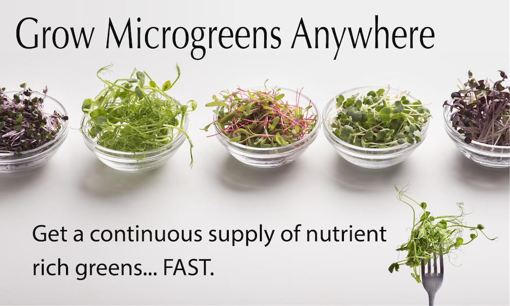 Grow Microgreens Anywhere Micro Course