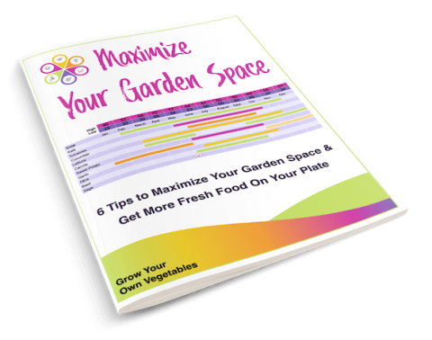 Maximize Your Garden Space