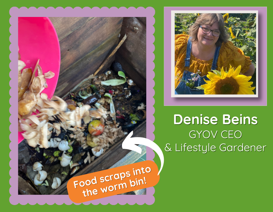 Food scraps being added to a worm bin