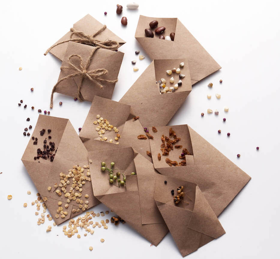 Seed Packets AdobeStock_294181728 TINY Seed Packets