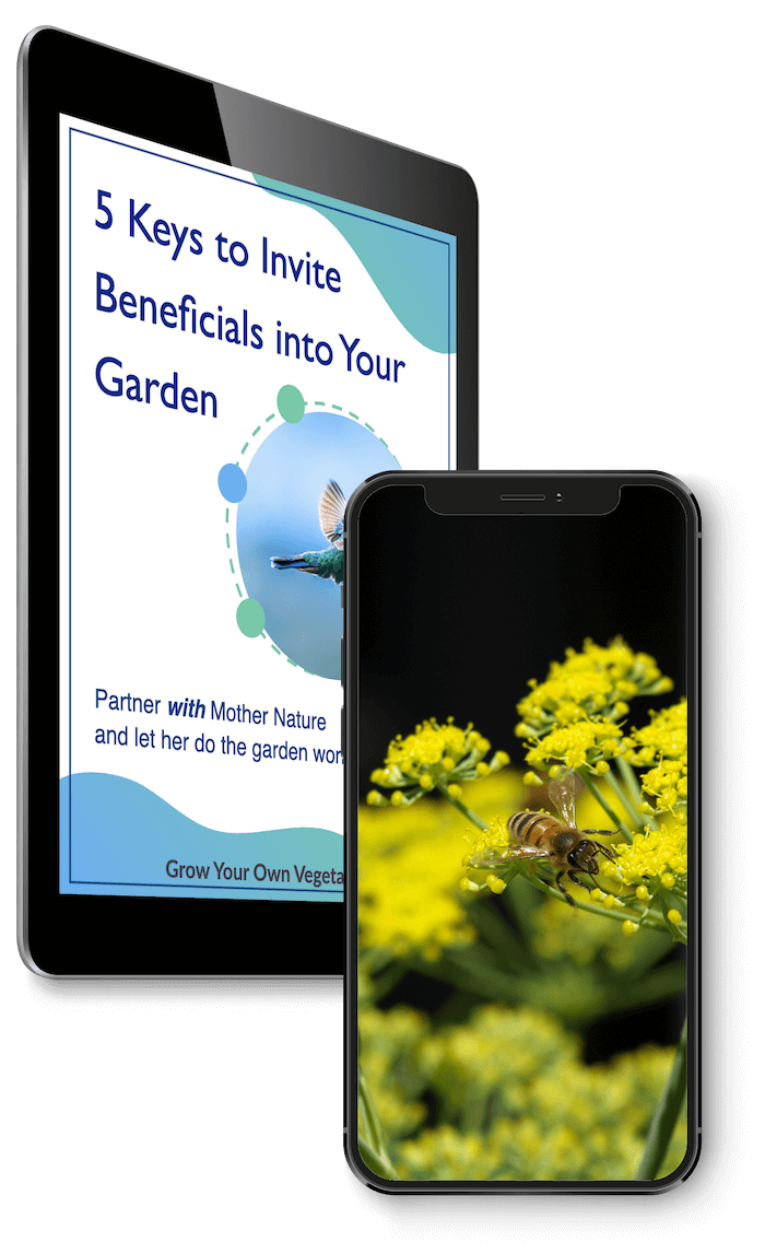 5 Keys to Invite Beneficials into Your Garden iPad to Right w_phone TINY Flowers for Beneficials Ipad to Right w_phone TINY