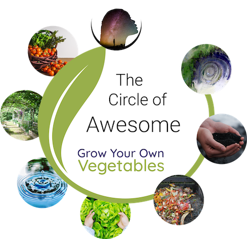 Seed Packets