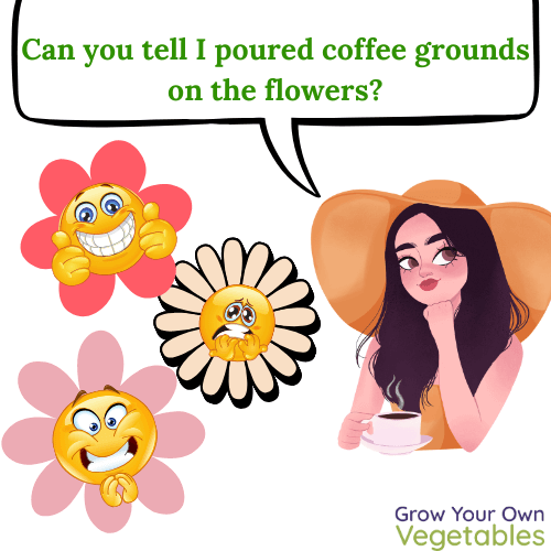 Cartoon person thinking "Can you tell I poured coffee grounds on the flowers?" Animated flowers looking VERY caffeinated nearby