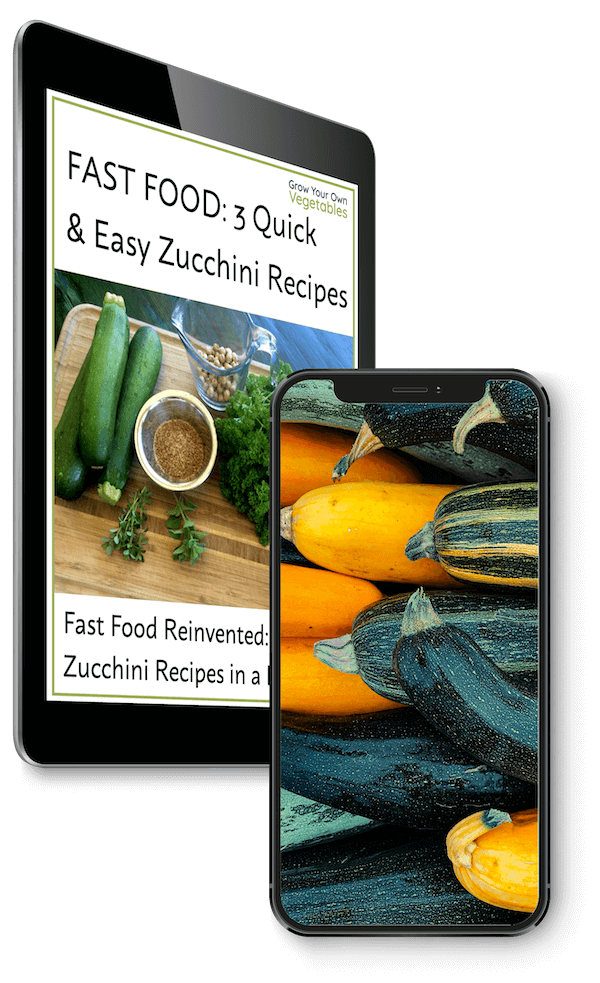 FAST FOOD - 3 Quick & Easy Zucchini Recipes iPad to Right w_phone TINY