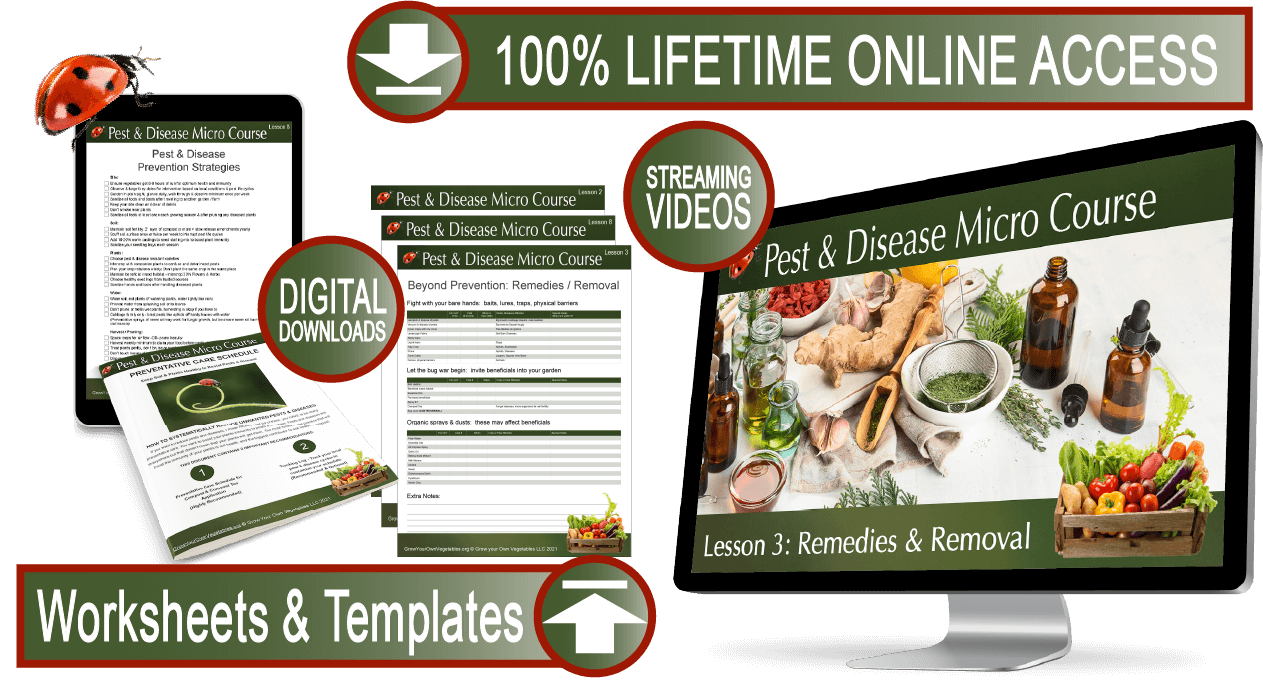 Sales Image for Pest & Disease Micro Course