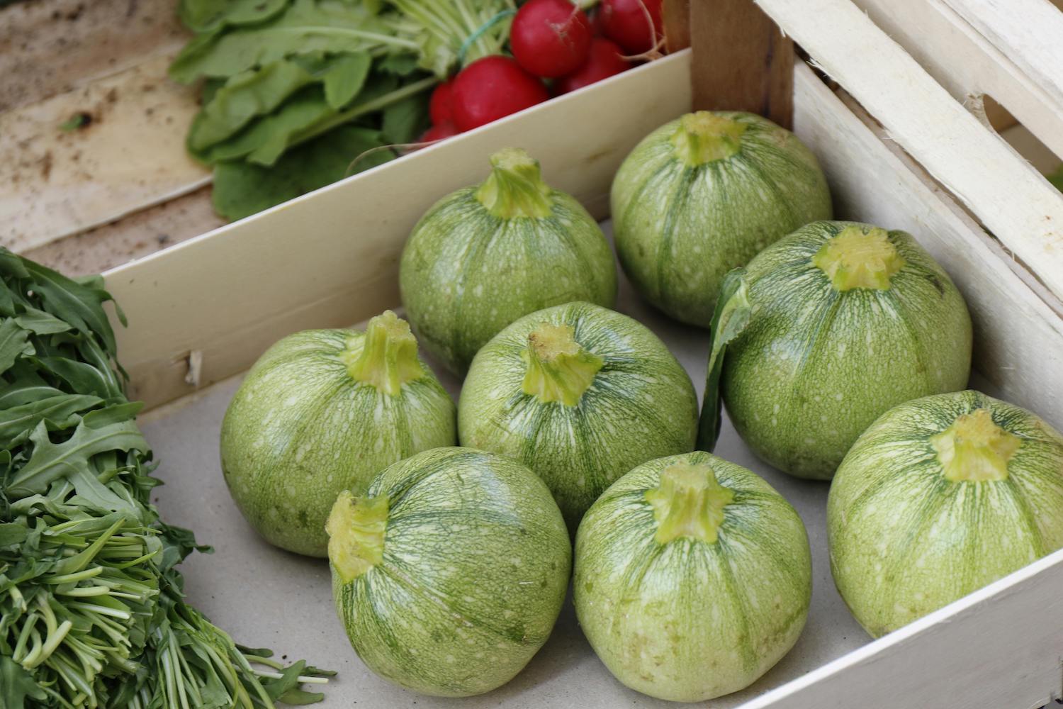 FAST FOOD - 3 Quick & Easy Zucchini Recipes: Round Zucchini in a box