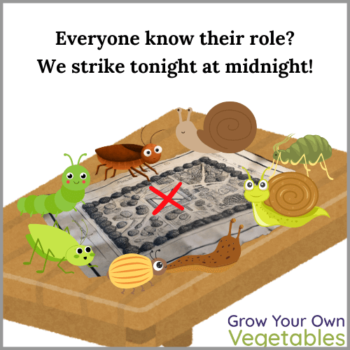 Cartoon Image of insects all gathered around a map of a backyard garen "Everyone know their role? We strike at midnight!"