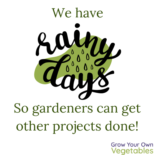 08.2.2024 (1) "We have rainy days so gardeners can get other projects done!"