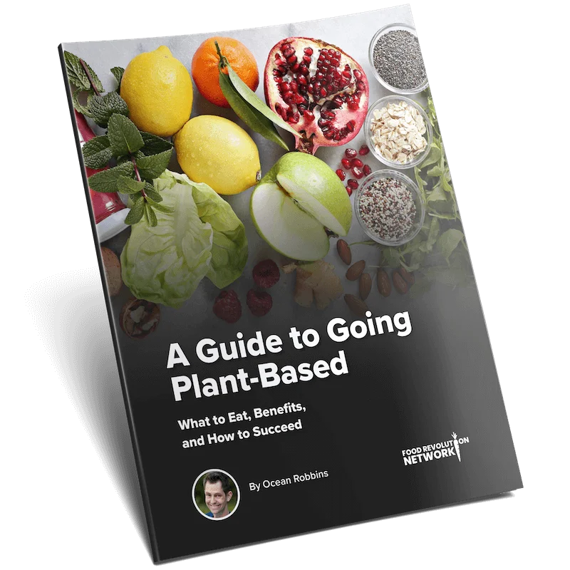 A Guide to Going Plant-Based