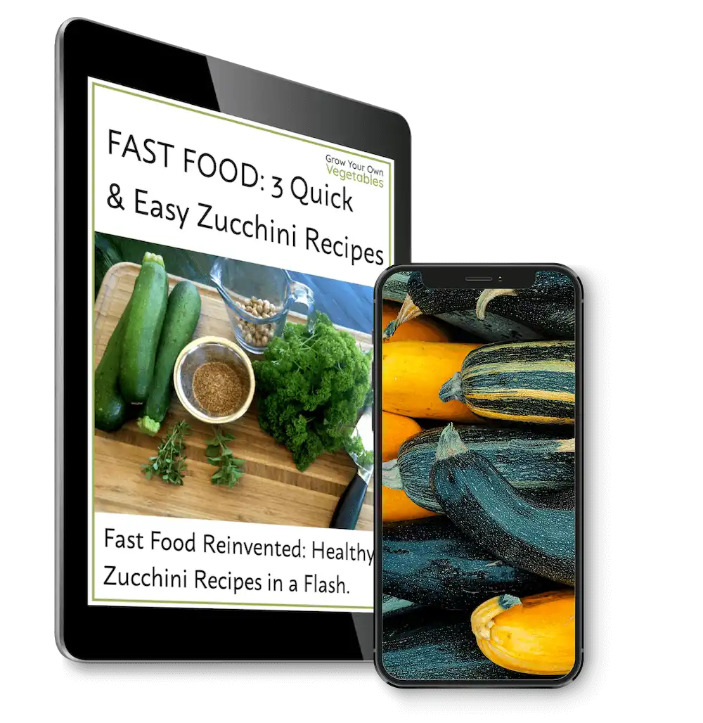 FI-FAST-FOOD-3-Quick-Easy-Zucchini-Recipes-iPad-to-Right-w_phone-TINY-1 FAST FOOD - 3 Quick & Easy Zucchini Recipes iPad to Right w_phone TINY