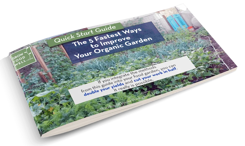 3D Image of the The 5 Fastest ways to Improve Your Garden Guide