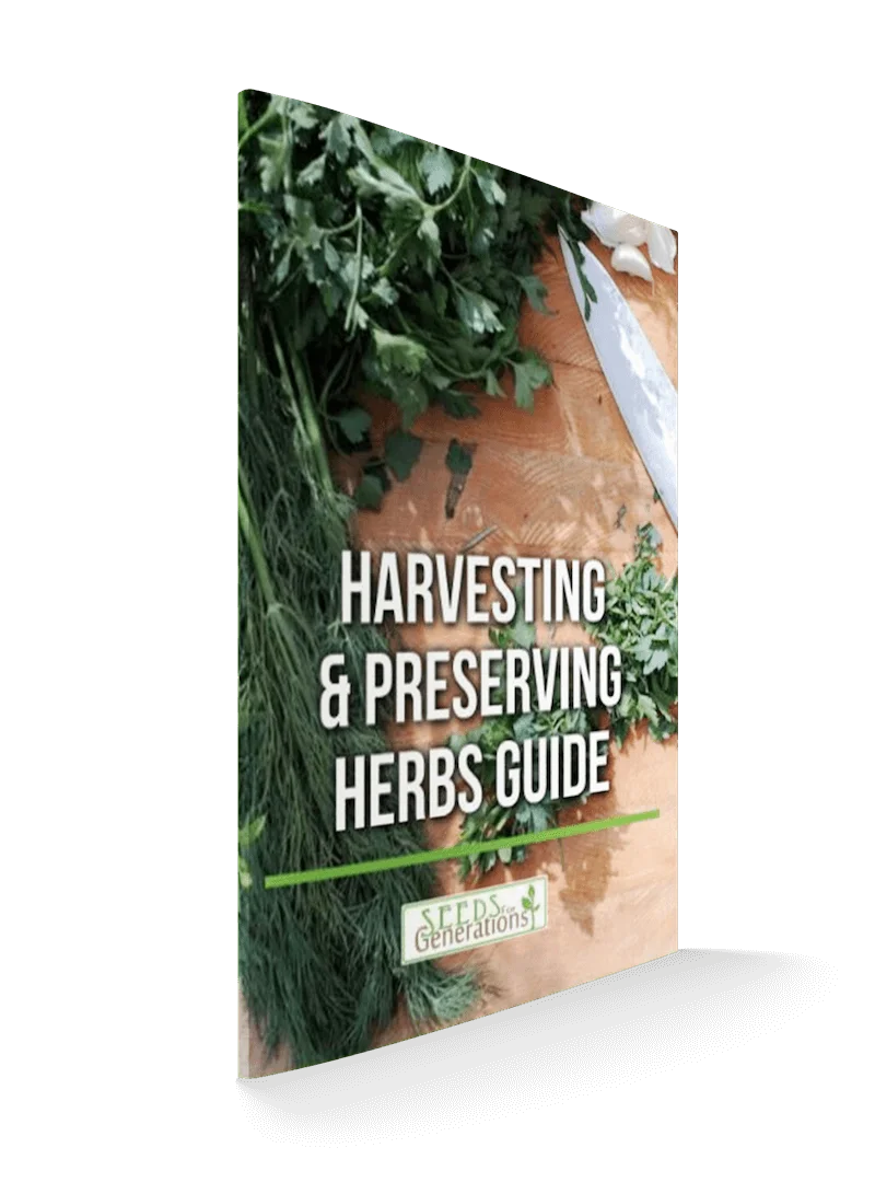 Harvesting-Preserving-Herbs-Guide-1 3D Guide Image of the PDF downlaod