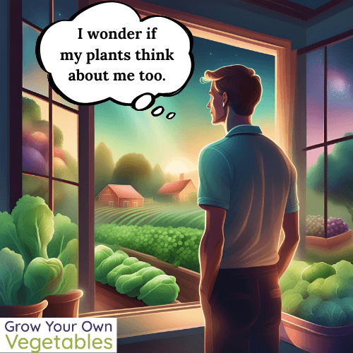 Person looking out a window at their garden with thought bubble "I wonder if my plants think about me too..."