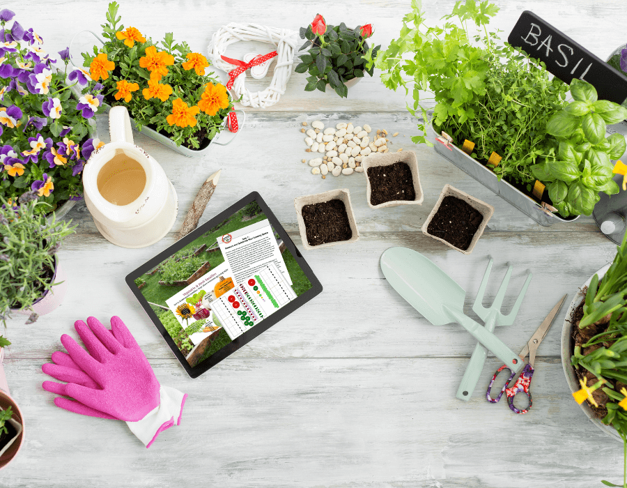 Escape Overwhelm in Your Garden - Overwhelm