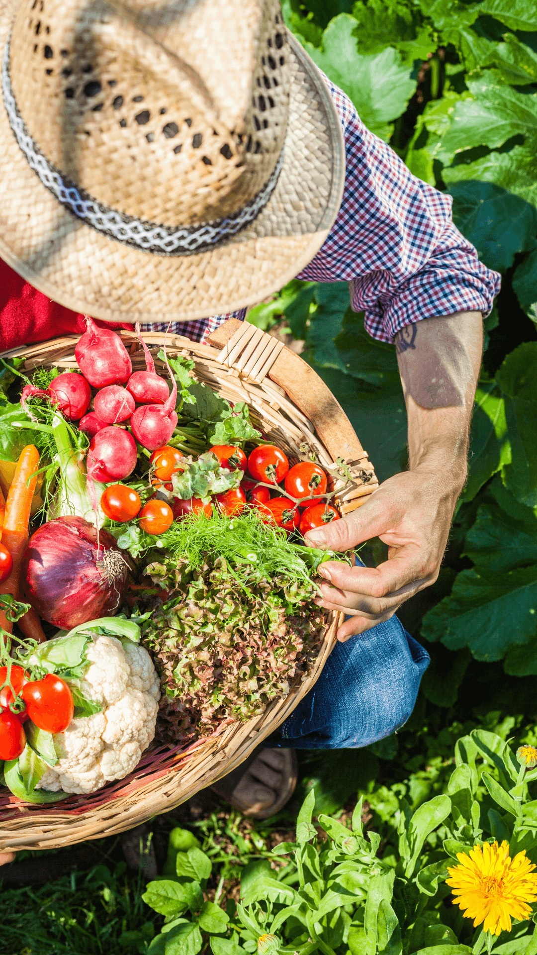 Person cutting veggies while chatting with people on Facetime on iPad