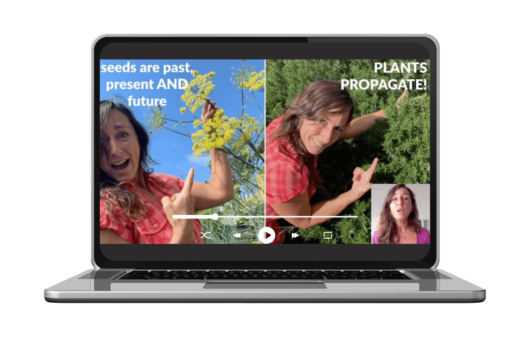 3D Image Video Still from Masterclass