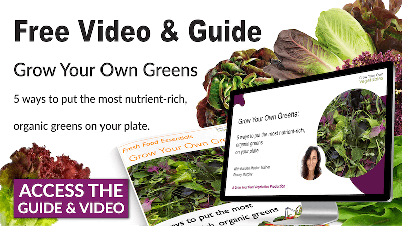 Free Video & Guide_Grow Your Own Greens