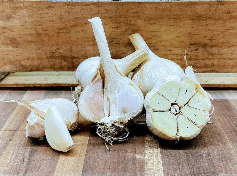 German White Garlic - Heirloom with European roots