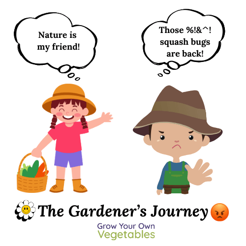 Cartoon of a person looking out the window "Everyone is exxcited about the holidays and I'm just thinking about gardening"