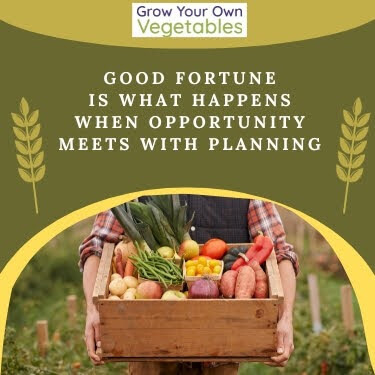 Good Fortune is what happens when opportunity meets planning