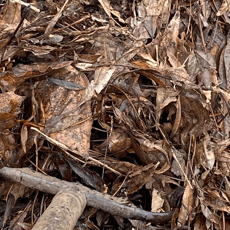 Leaf Mulch