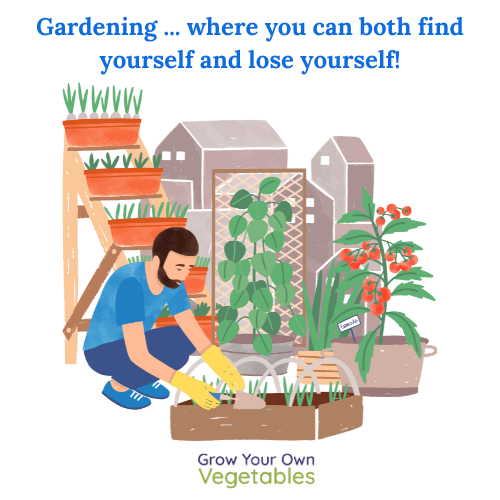 Cartoon of a person looking out the window "Everyone is exxcited about the holidays and I'm just thinking about gardening"