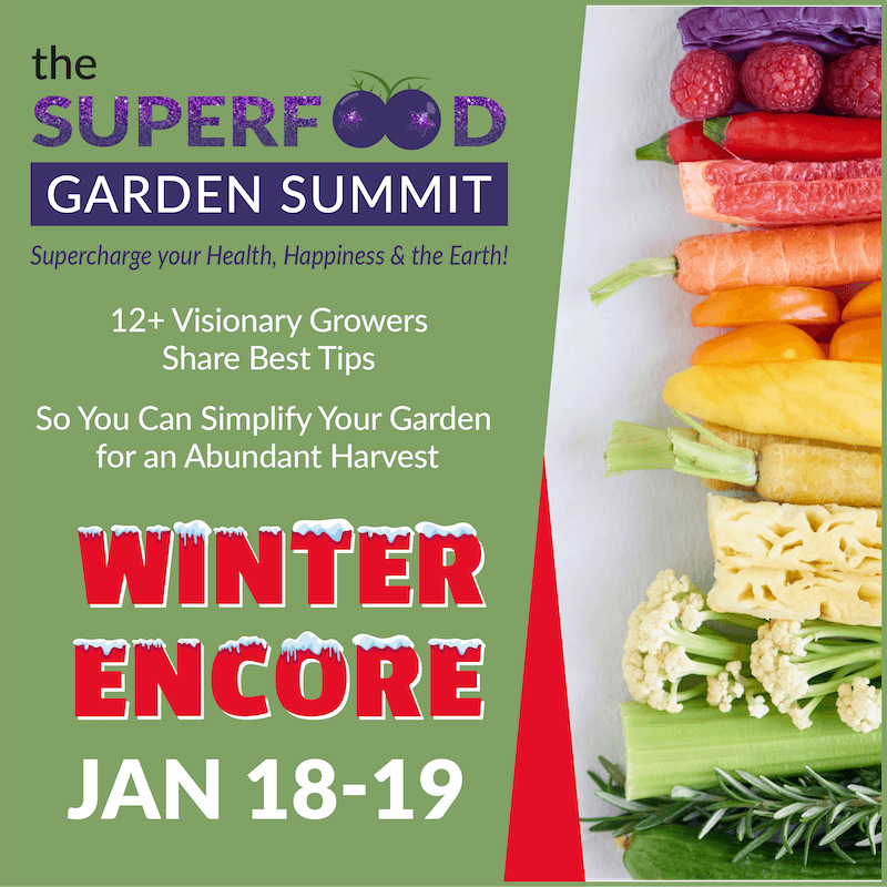 Winter Encore: Superfood Garden Summit