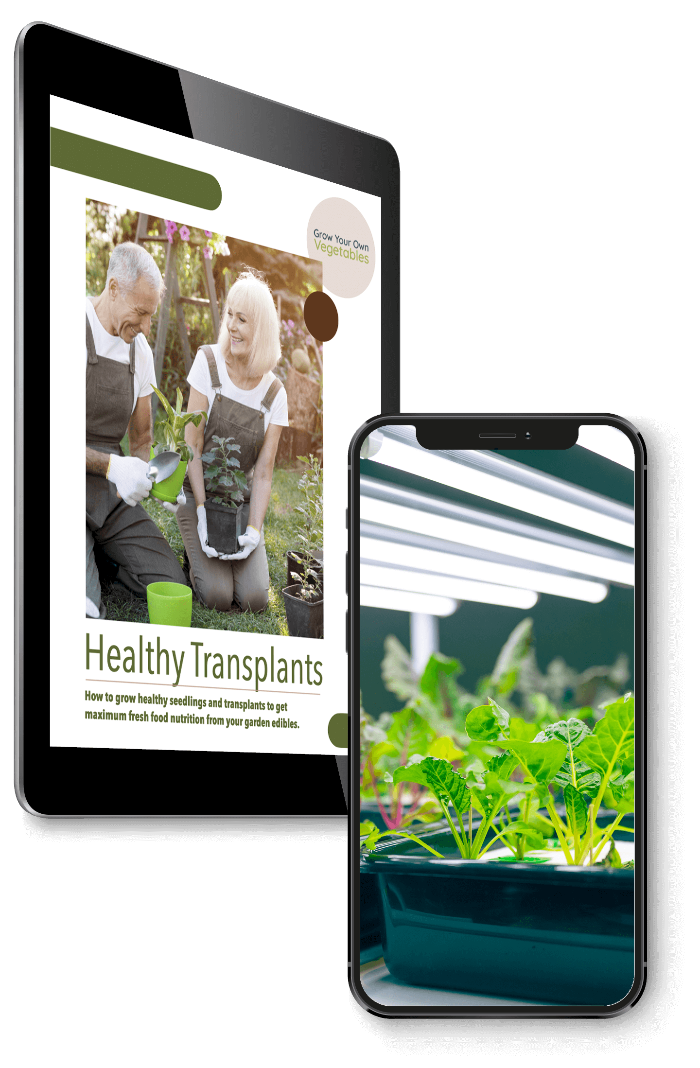 Healthy Transplants iPad to Right w_phone