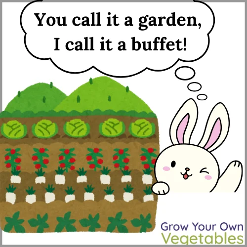 Cartoon Bunny saying "you call it a garden, I call it a buffett!"